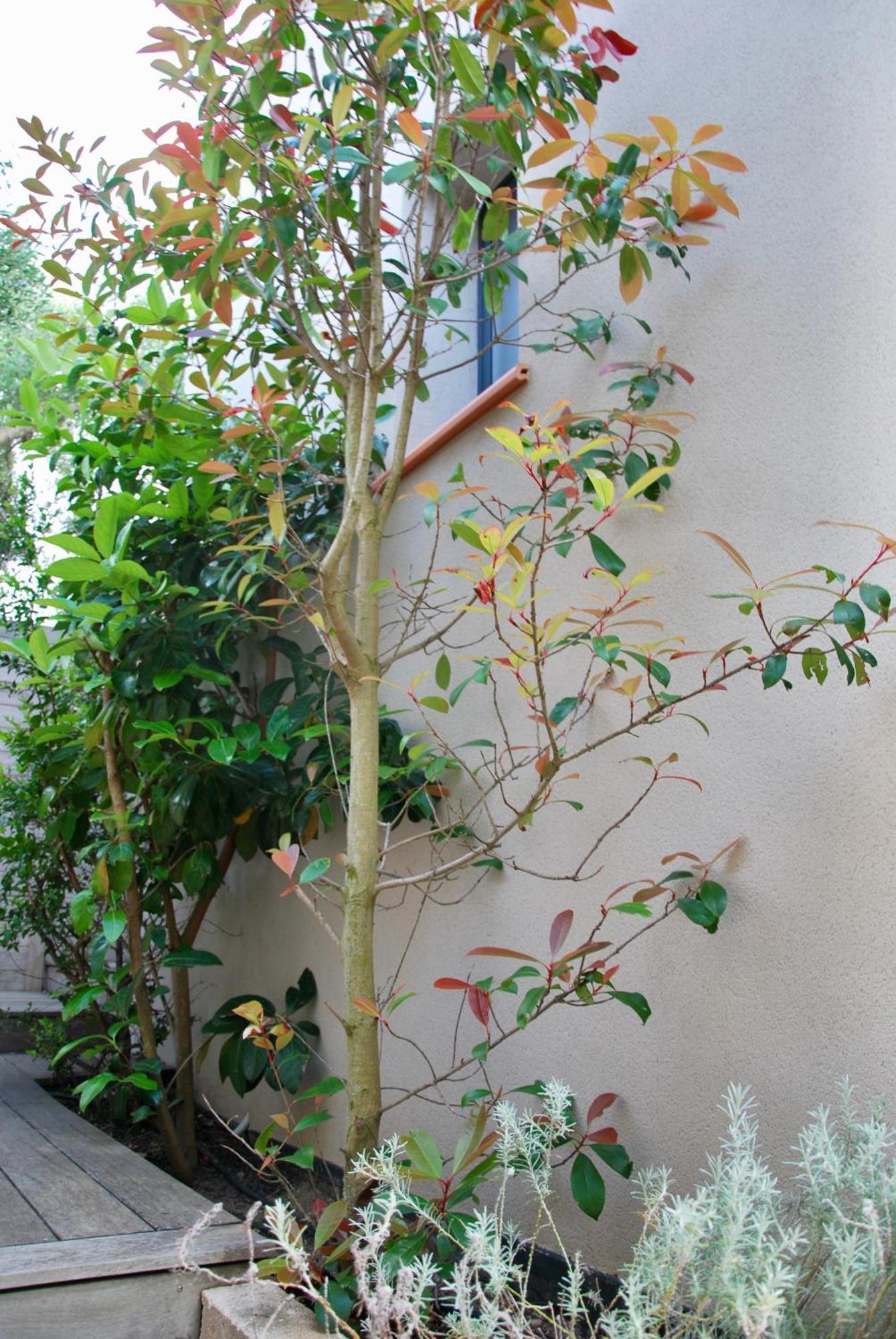 בוניפסיו Villa Madra מראה חיצוני תמונה