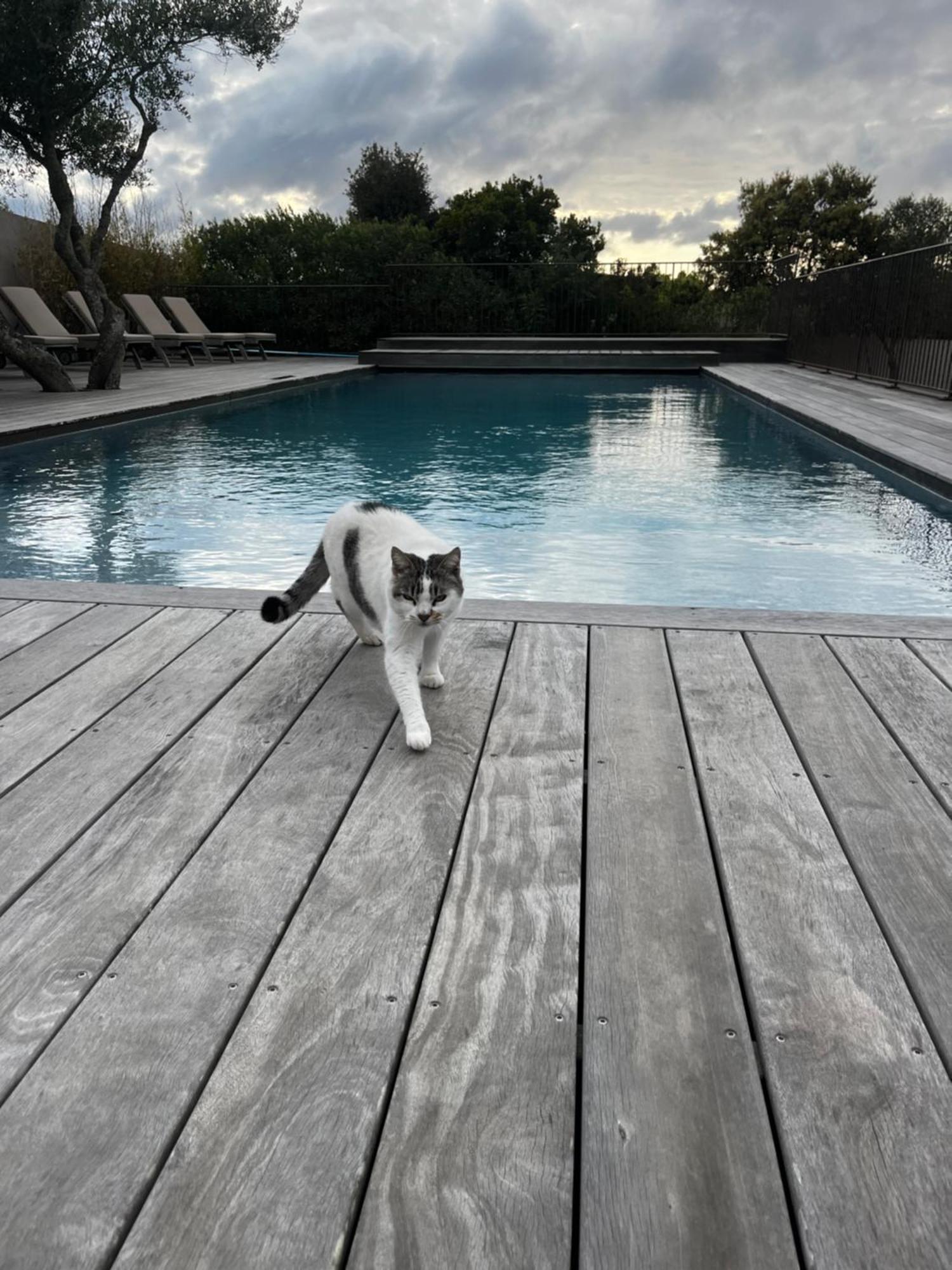 בוניפסיו Villa Madra מראה חיצוני תמונה